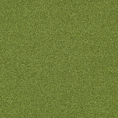 Ковровая плитка Interface Polichrome Stipple 4265012 Herbal фото 1 | FLOORDEALER